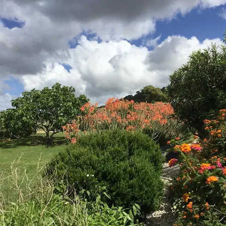 Encanto Rural Con Jardin Privado Y Chimenea Apartment *