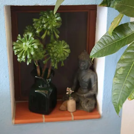 Apartment Encanto Rural Con Jardin Privado Y Chimenea *