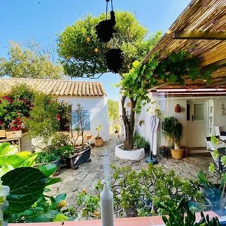 Encanto Rural Con Jardin Privado Y Chimenea Apartment *