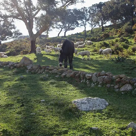 Lejlighed Encanto Rural Con Jardin Privado Y Chimenea